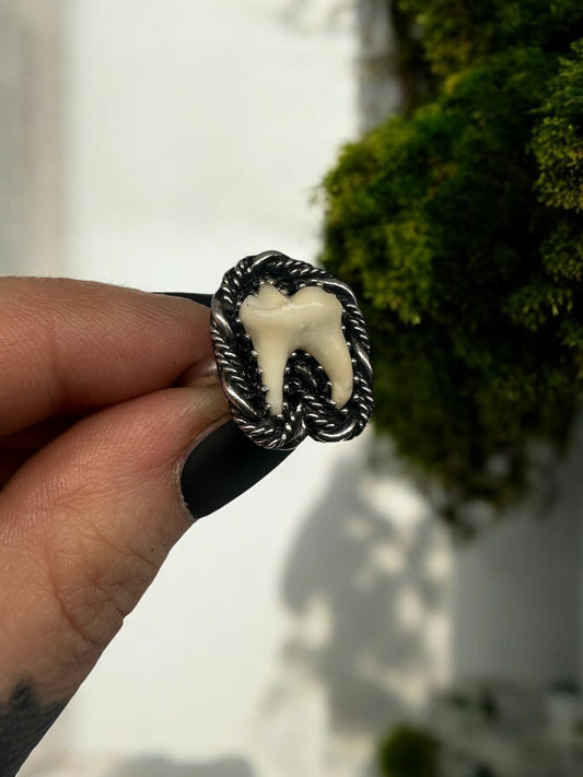 Night thief ring